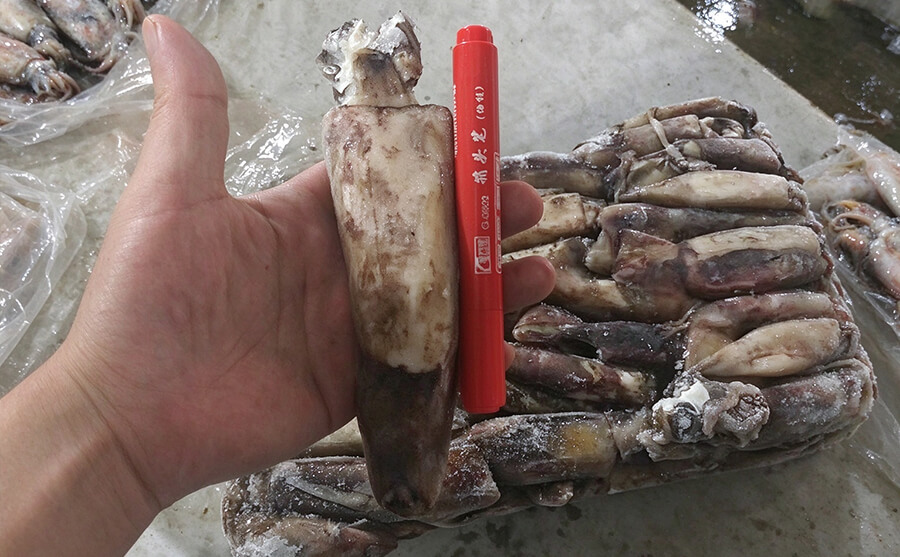 IQF块冻整箱包装